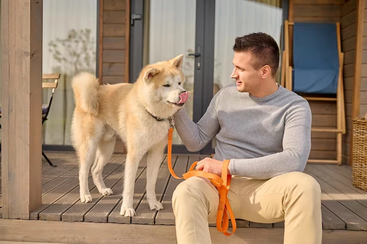 Ground Transport in Bristol & Sharjah